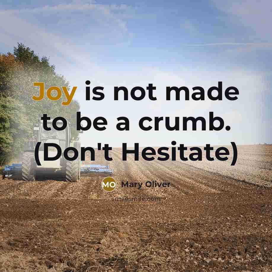 “Joy is not made to be a crumb. (Don't Hesitate)…” quote by Mary Oliver