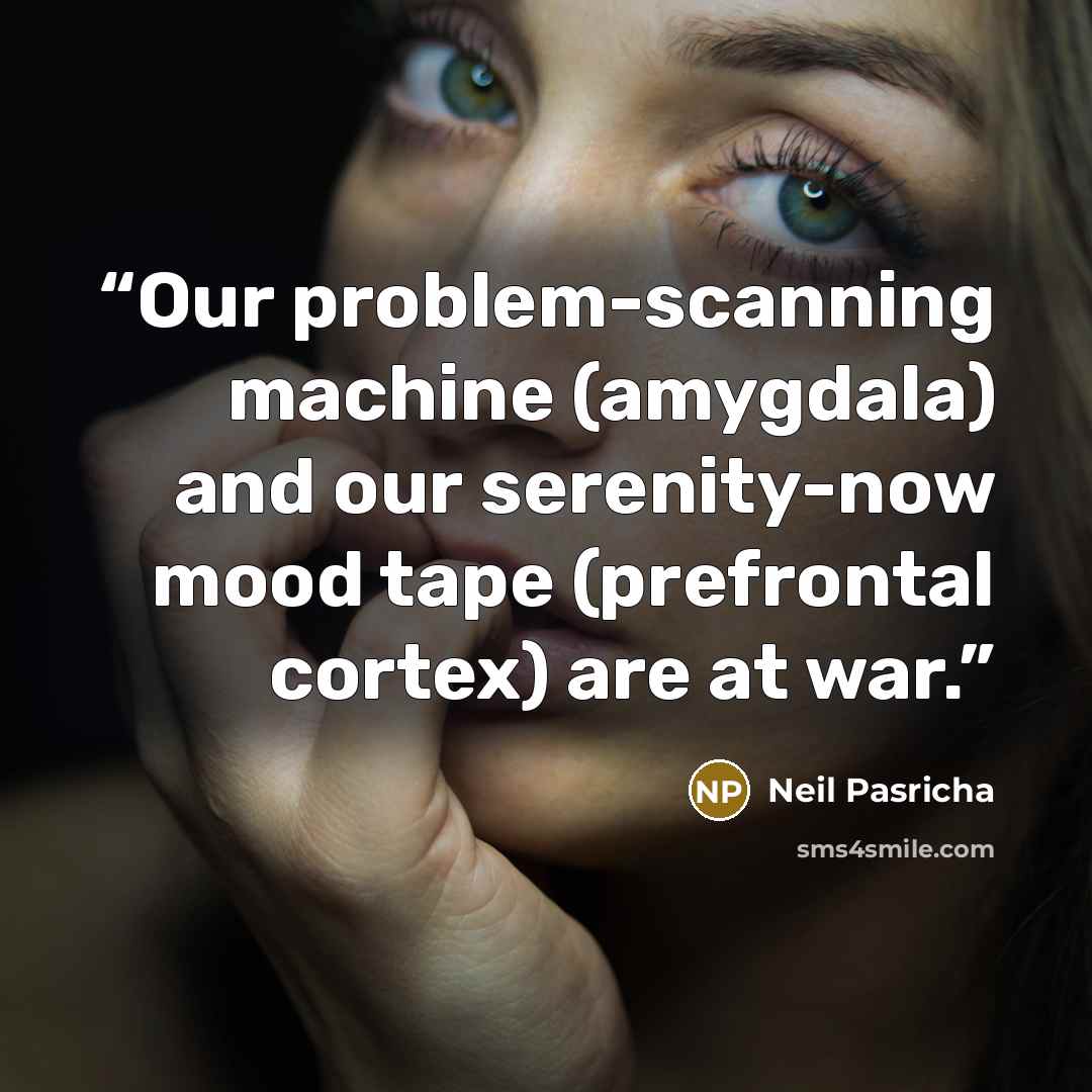 “Our problem-scanning machine (amygdala) and our serenity-now mood tape (prefrontal cortex) are at war.” quote by Neil Pasricha