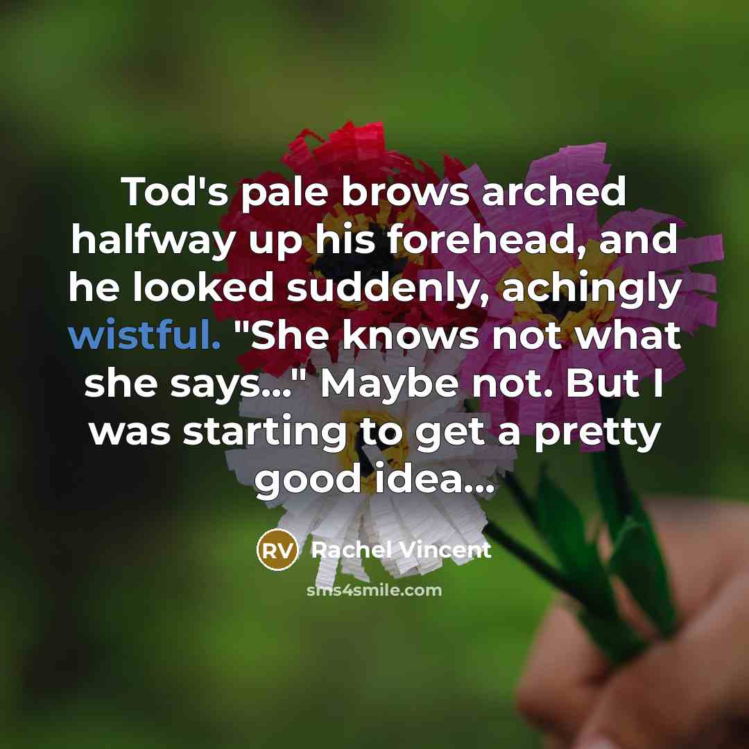 “Tod's pale brows arched halfway up his forehead, and he…” quote by Rachel Vincent