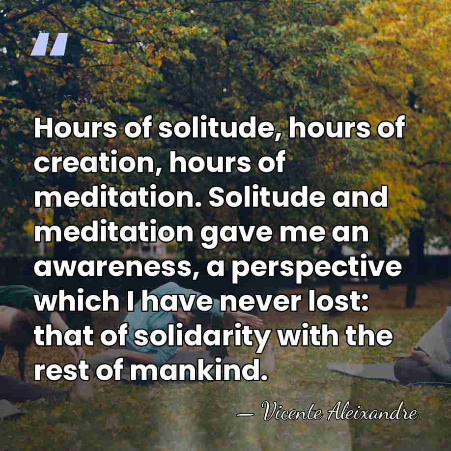 Hours of solitude, hours of creation, hours of meditation. Solitude and meditation&hellip; - Vicente Aleixandre