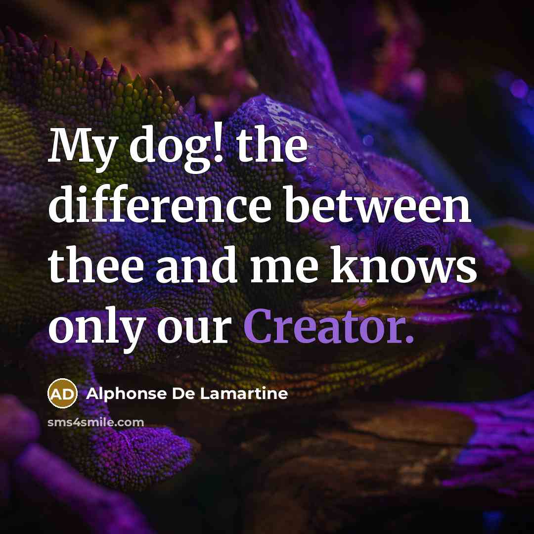 “My dog! the difference between thee and me knows only our Creator.” quote by Alphonse de Lamartine