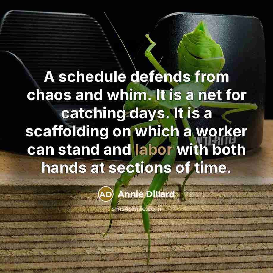 “A schedule defends from chaos and whim. It is a…” quote by Annie Dillard