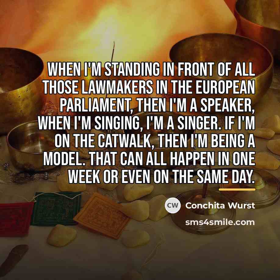 “When I'm standing in front of all those lawmakers in…” quote by Conchita Wurst