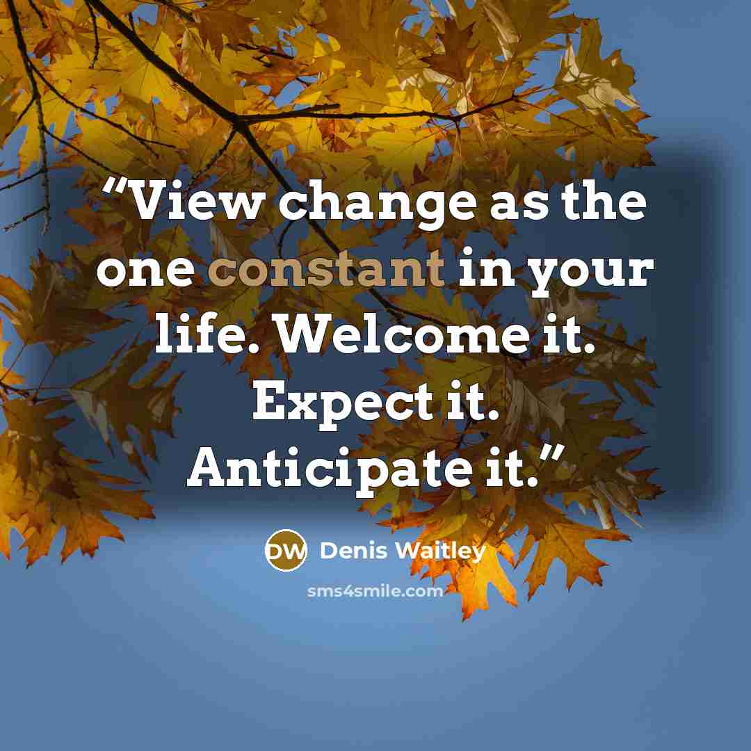 “View change as the one constant in your life. Welcome it. Expect it. Anticipate it.” quote by Denis Waitley