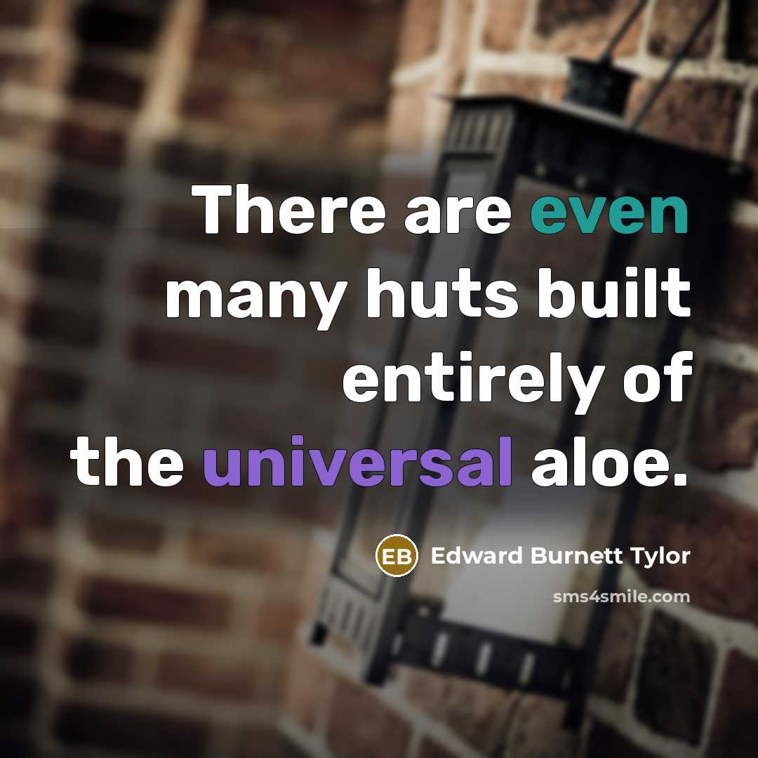 “There are even many huts built entirely of the universal aloe.” quote by Edward Burnett Tylor