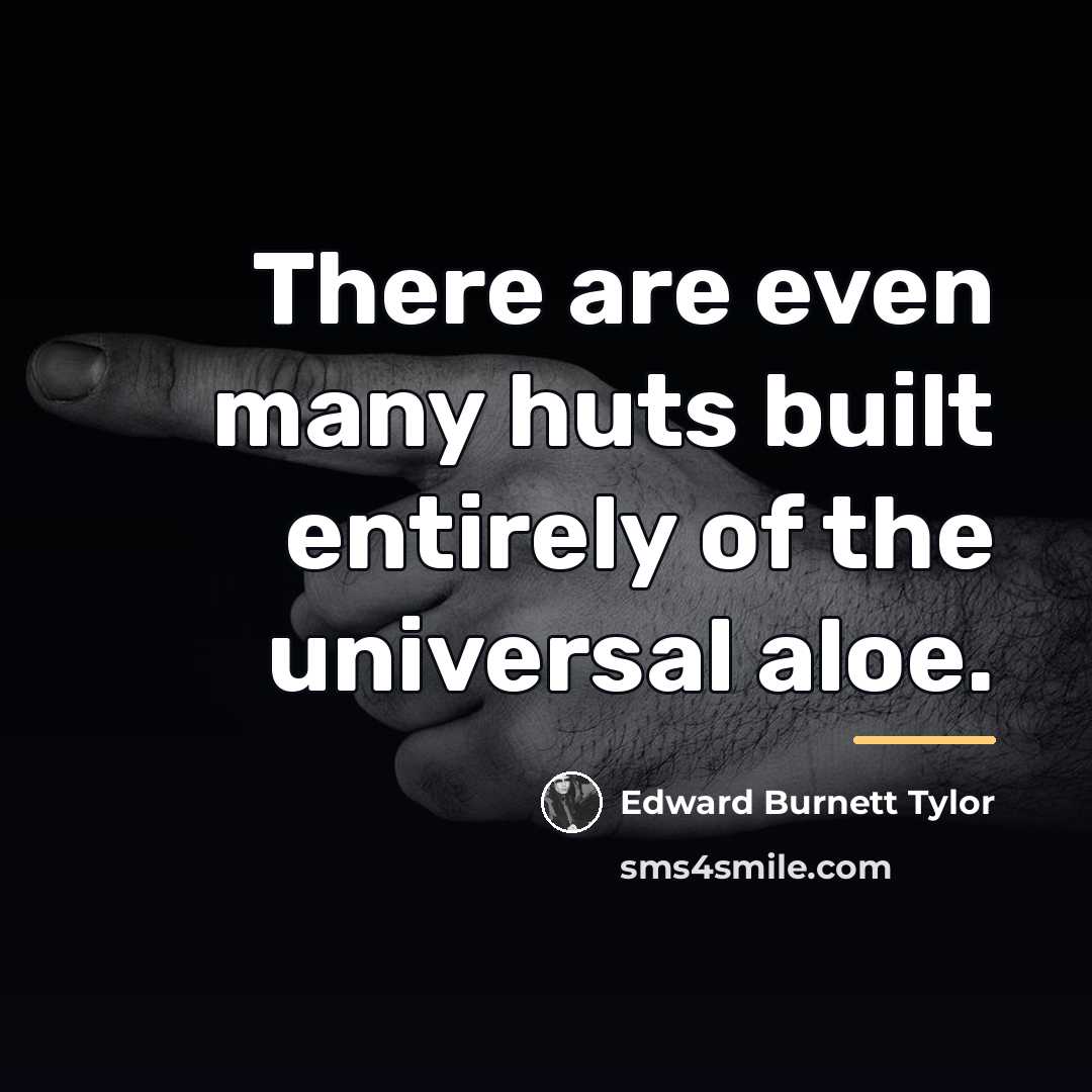 “There are even many huts built entirely of the universal…” quote by Edward Burnett Tylor