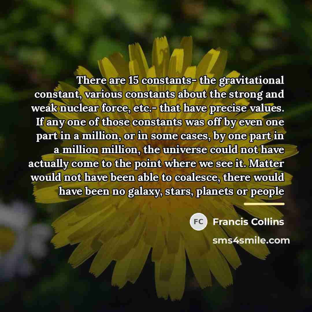 “There are 15 constants- the gravitational constant, various constants about…” quote by Francis Collins