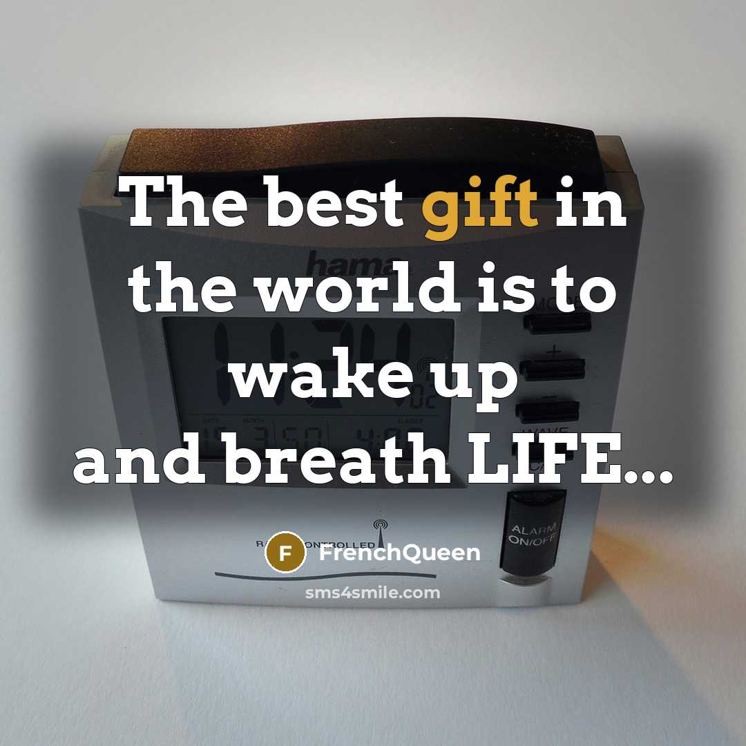 “The best gift in the world is to wake up…” quote by Frenchqueen