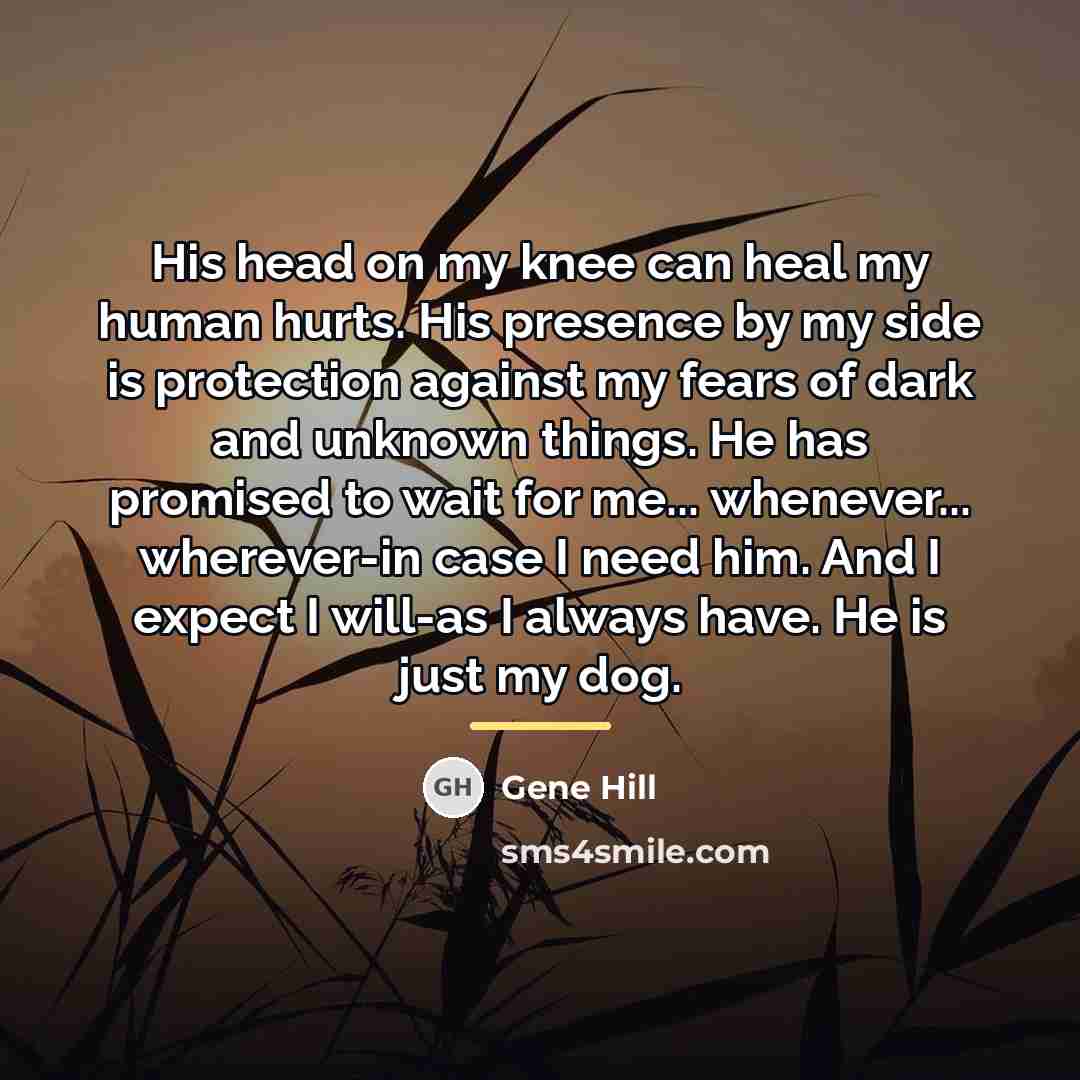 “His head on my knee can heal my human hurts.…” quote by Gene Hill