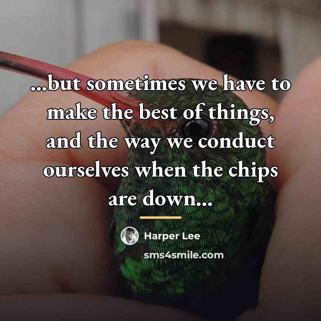 “...but sometimes we have to make the best of things,…” quote by Harper Lee