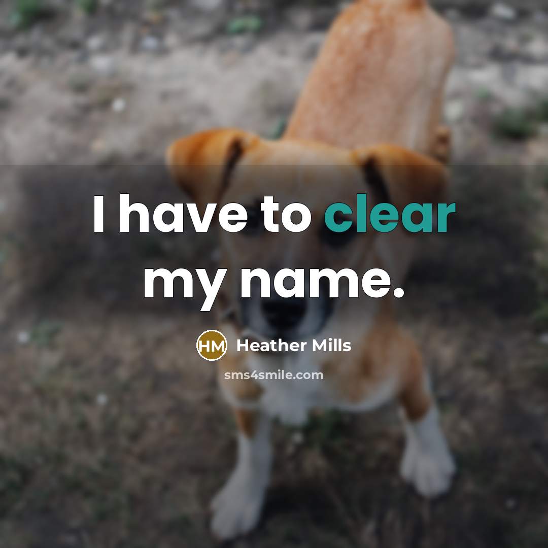 “I have to clear my name.…” quote by Heather Mills