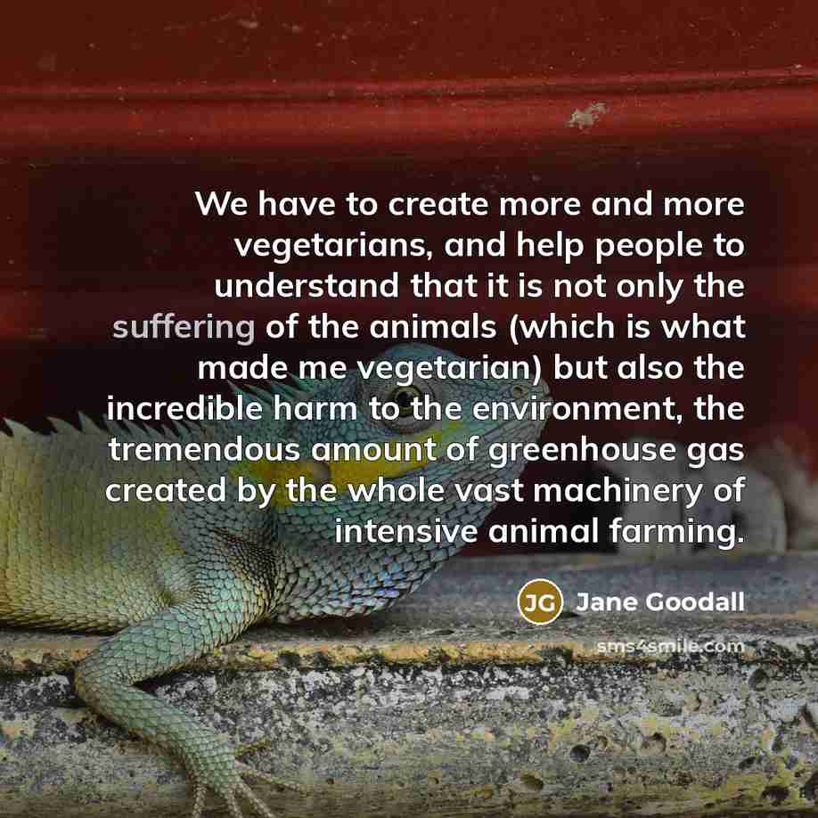 “We have to create more and more vegetarians, and help…” quote by Jane Goodall