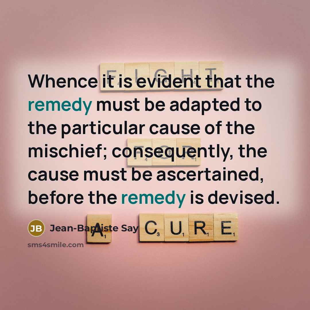 “Whence it is evident that the remedy must be adapted…” quote by Jean-Baptiste Say