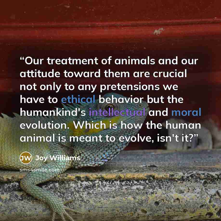 “Our treatment of animals and our attitude toward them are crucial not only to any pretensions we have to ethical behavior but the humankind's intellectual and moral evolution. Which is how the human animal is meant to evolve, isn't it?” quote by Joy Williams
