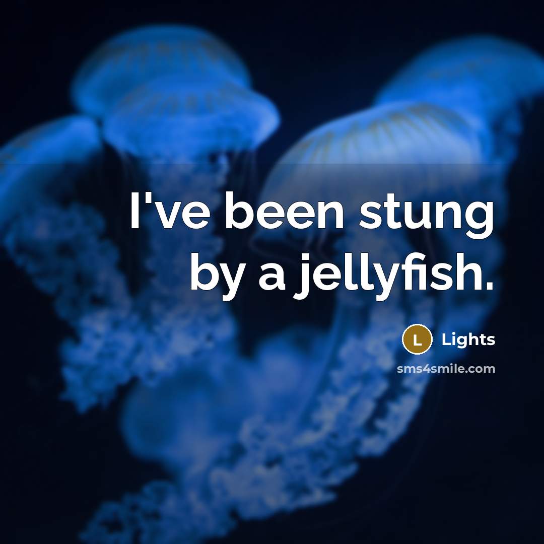 “I've been stung by a jellyfish.…” quote by Lights