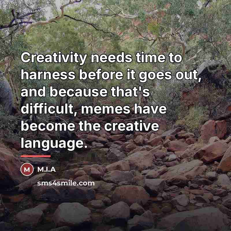 “Creativity needs time to harness before it goes out, and…” quote by M.I.A