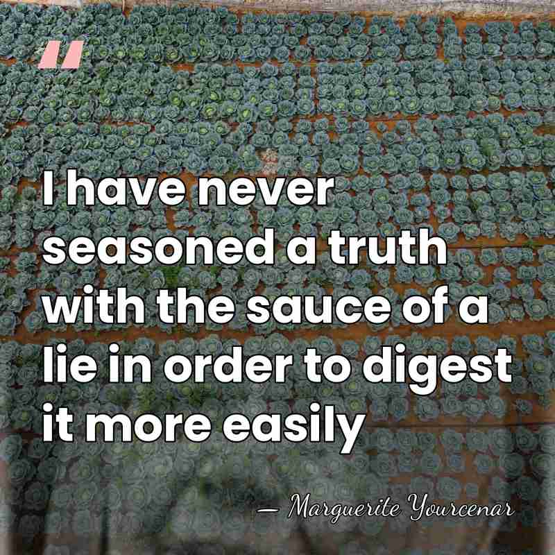 I have never seasoned a truth with the sauce of a lie&hellip; - Marguerite Yourcenar