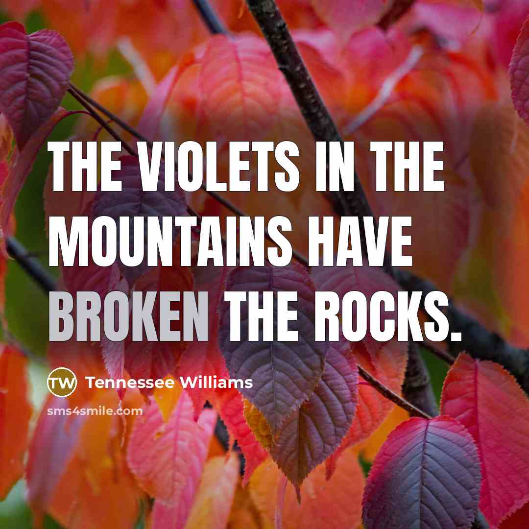 “The violets in the mountains have broken the rocks.…” quote by Tennessee Williams