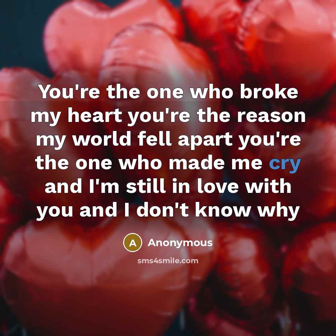 “You're the one who broke my heart you're the reason…” quote by Anonymous