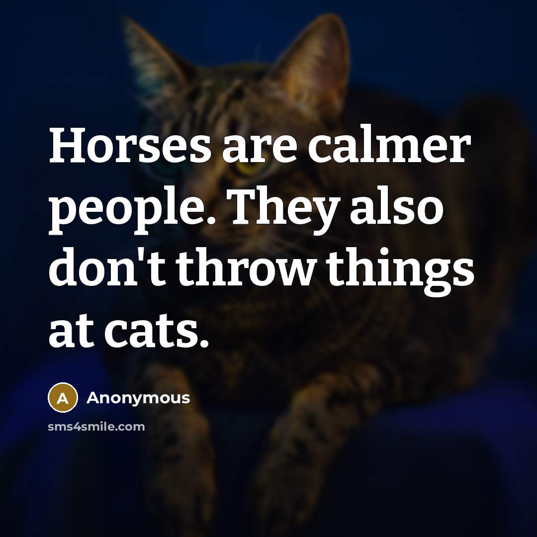 “Horses are calmer people. They also don't throw things at…” quote by Anonymous