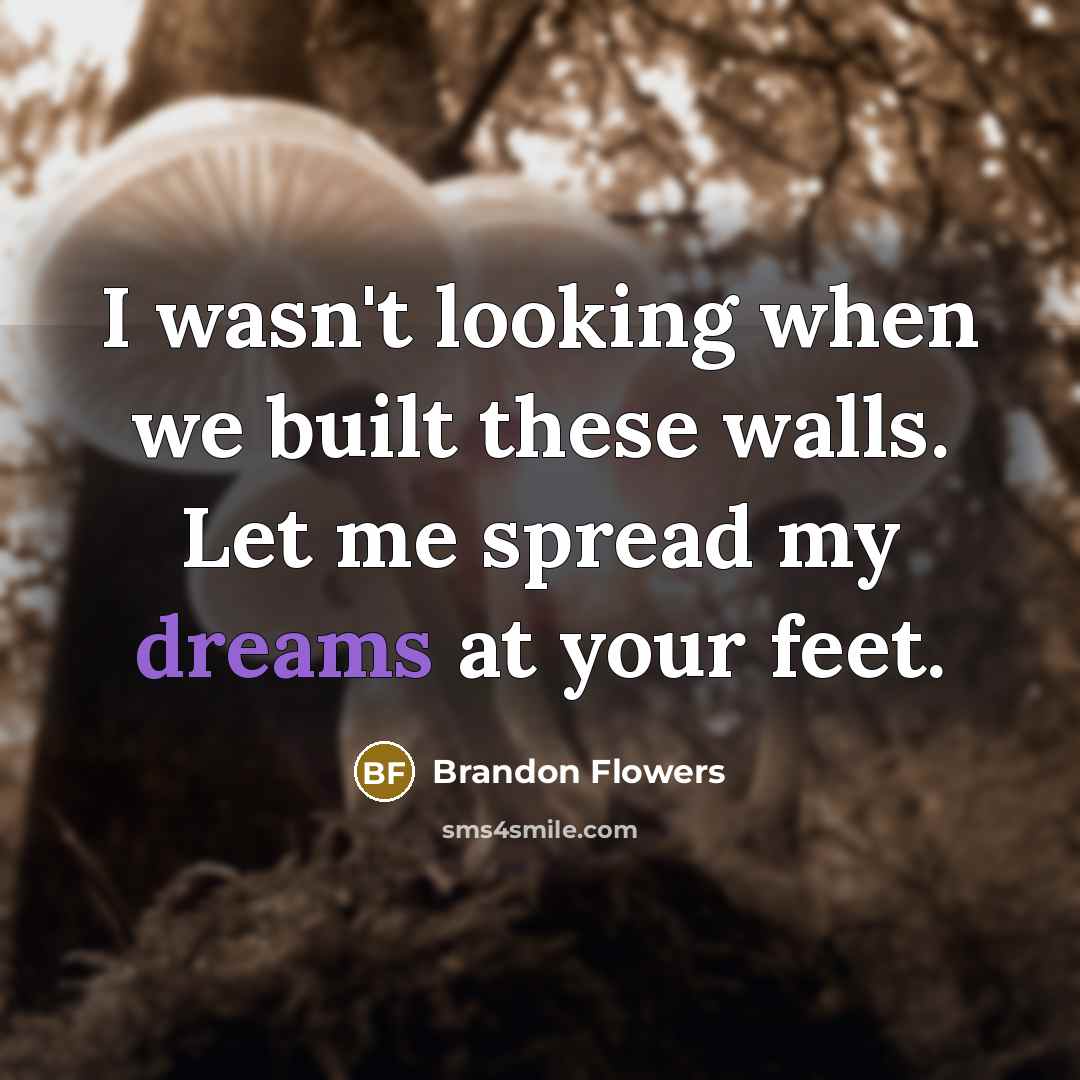 “I wasn't looking when we built these walls. Let me…” quote by Brandon Flowers
