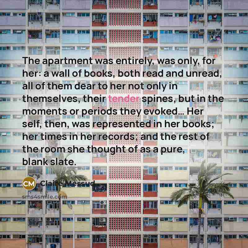 “The apartment was entirely, was only, for her: a wall…” quote by Claire Messud