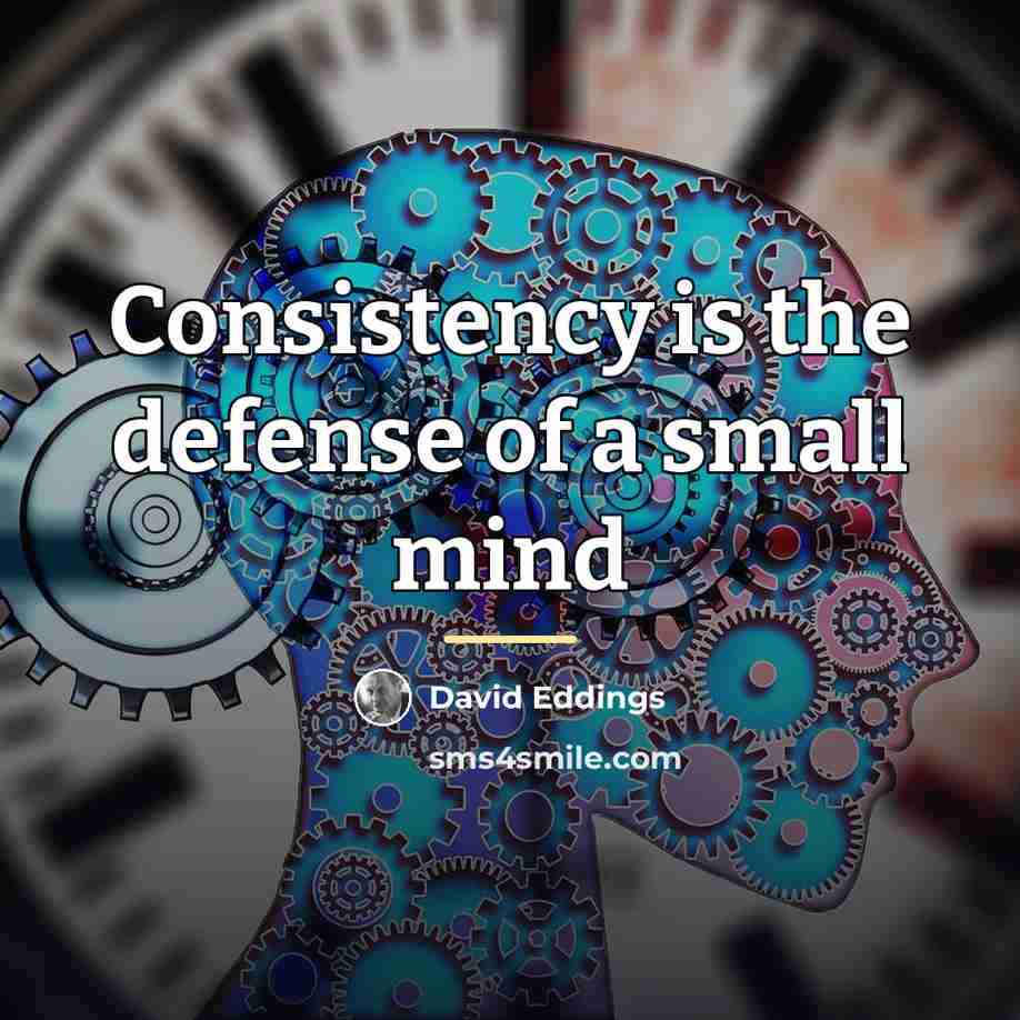 “Consistency is the defense of a small mind…” quote by David Eddings