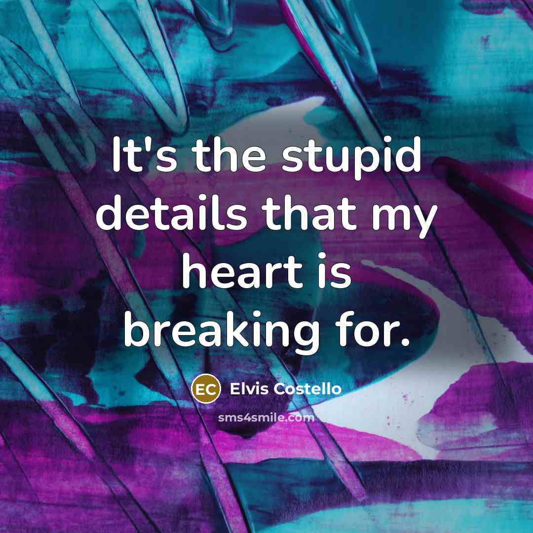“It's the stupid details that my heart is breaking for.” quote by Elvis Costello
