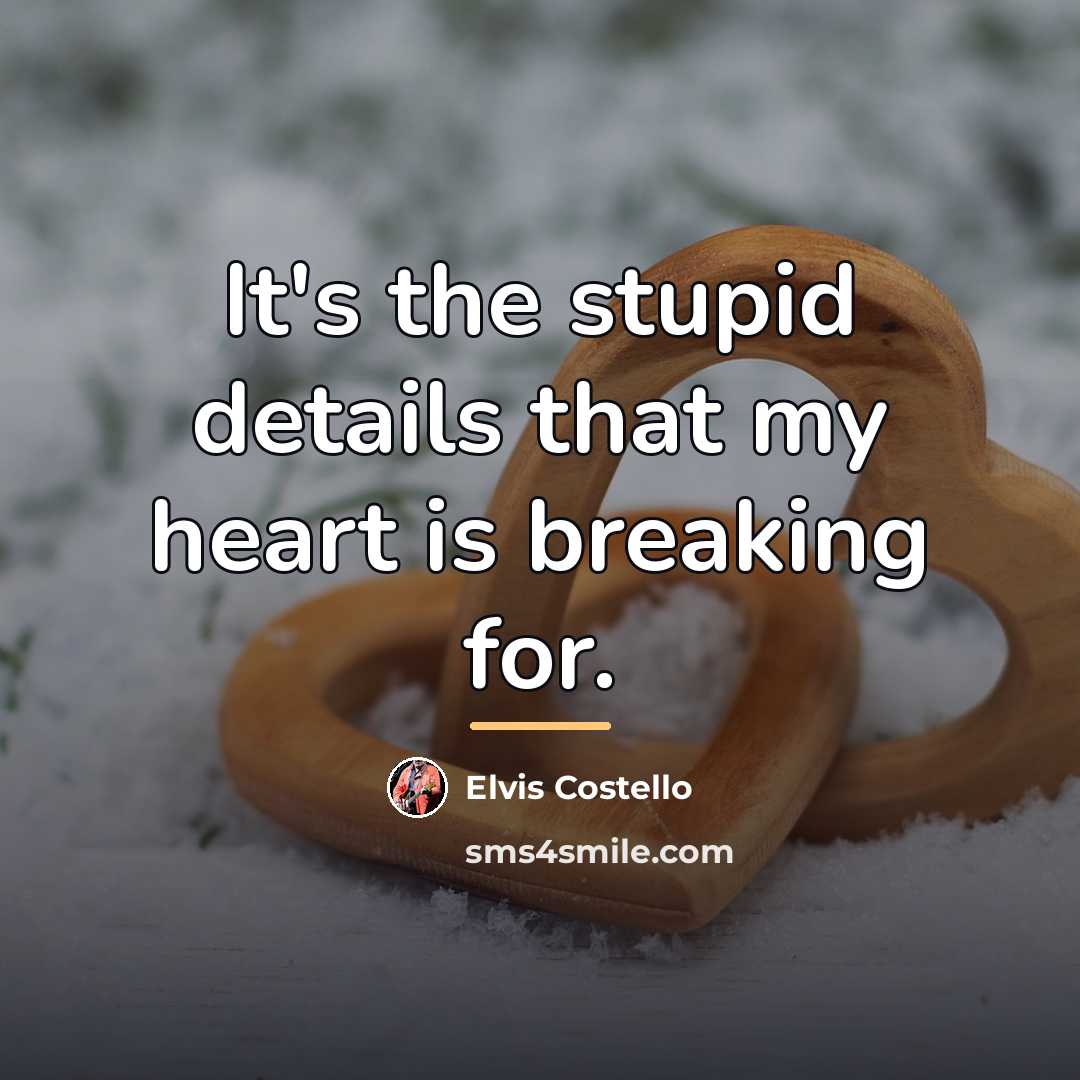 “It's the stupid details that my heart is breaking for.…” quote by Elvis Costello