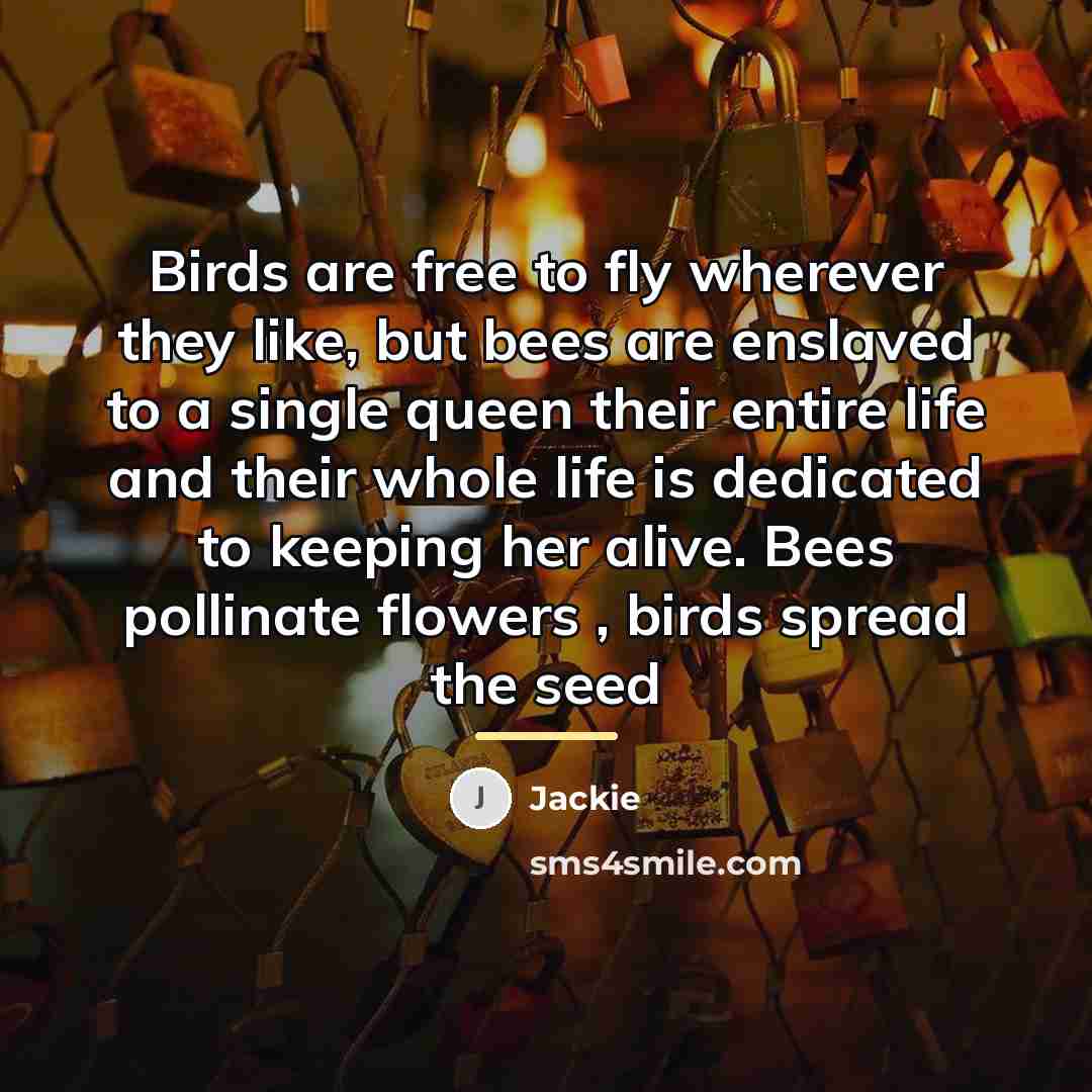 “Birds are free to fly wherever they like, but bees…” quote by Jackie