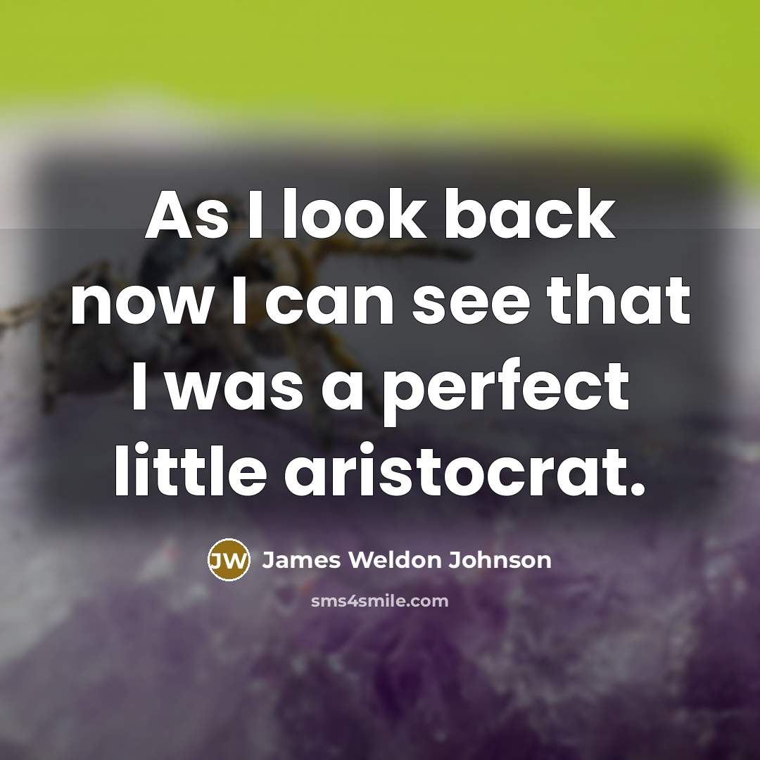 “As I look back now I can see that I was a perfect little aristocrat.” quote by James Weldon Johnson