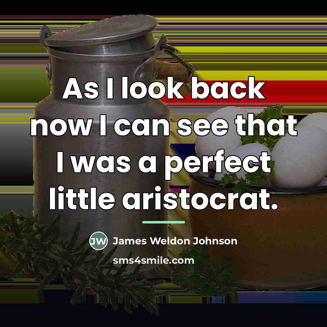 “As I look back now I can see that I…” quote by James Weldon Johnson