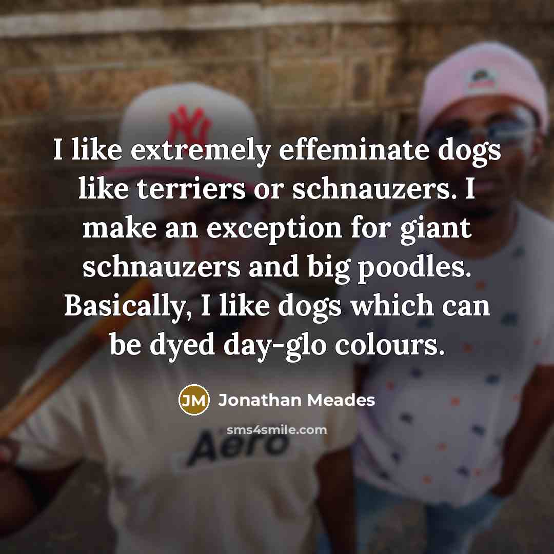 “I like extremely effeminate dogs like terriers or schnauzers. I…” quote by Jonathan Meades