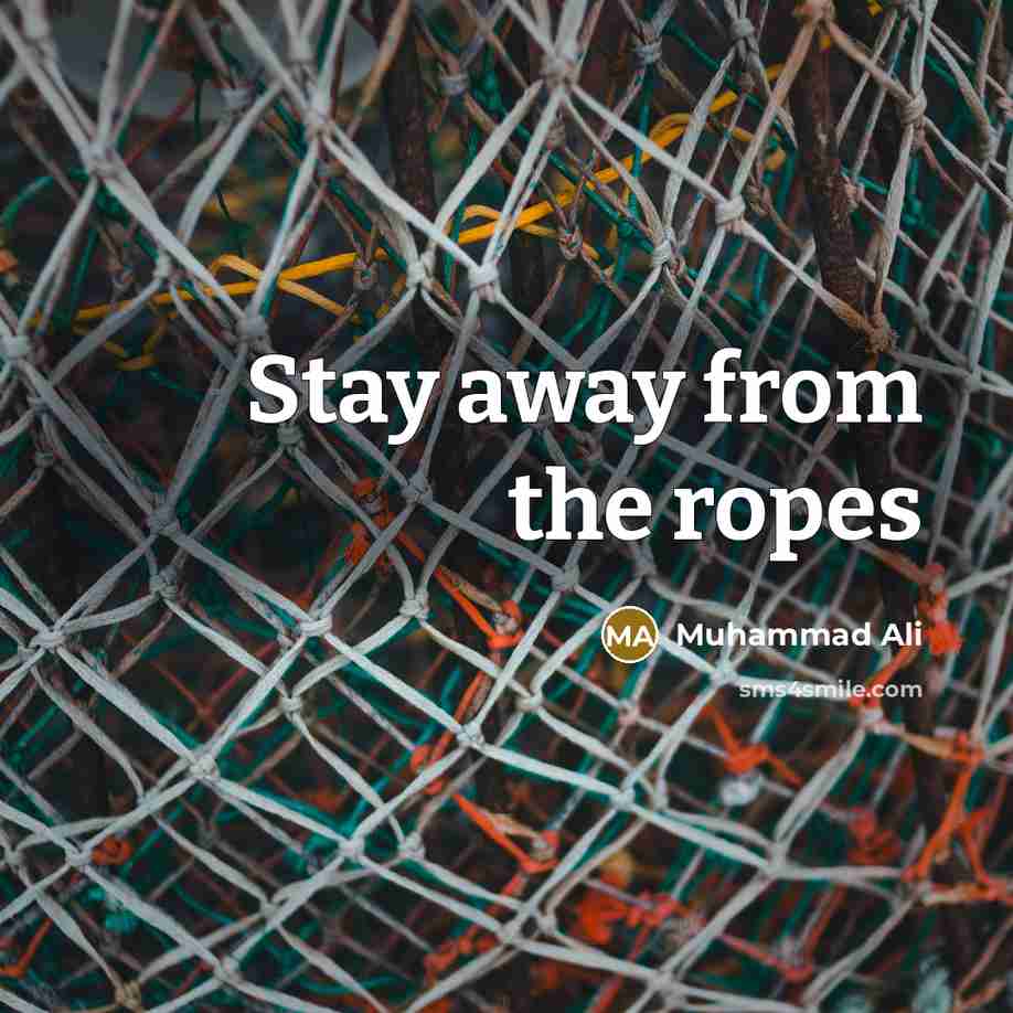“Stay away from the ropes…” quote by Muhammad Ali