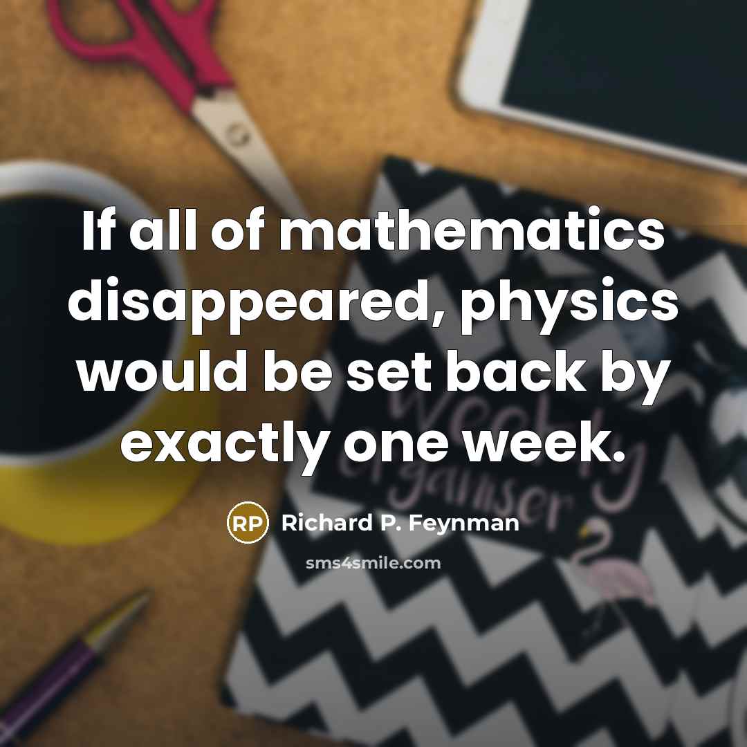 “If all of mathematics disappeared, physics would be set back…” quote by Richard P. Feynman