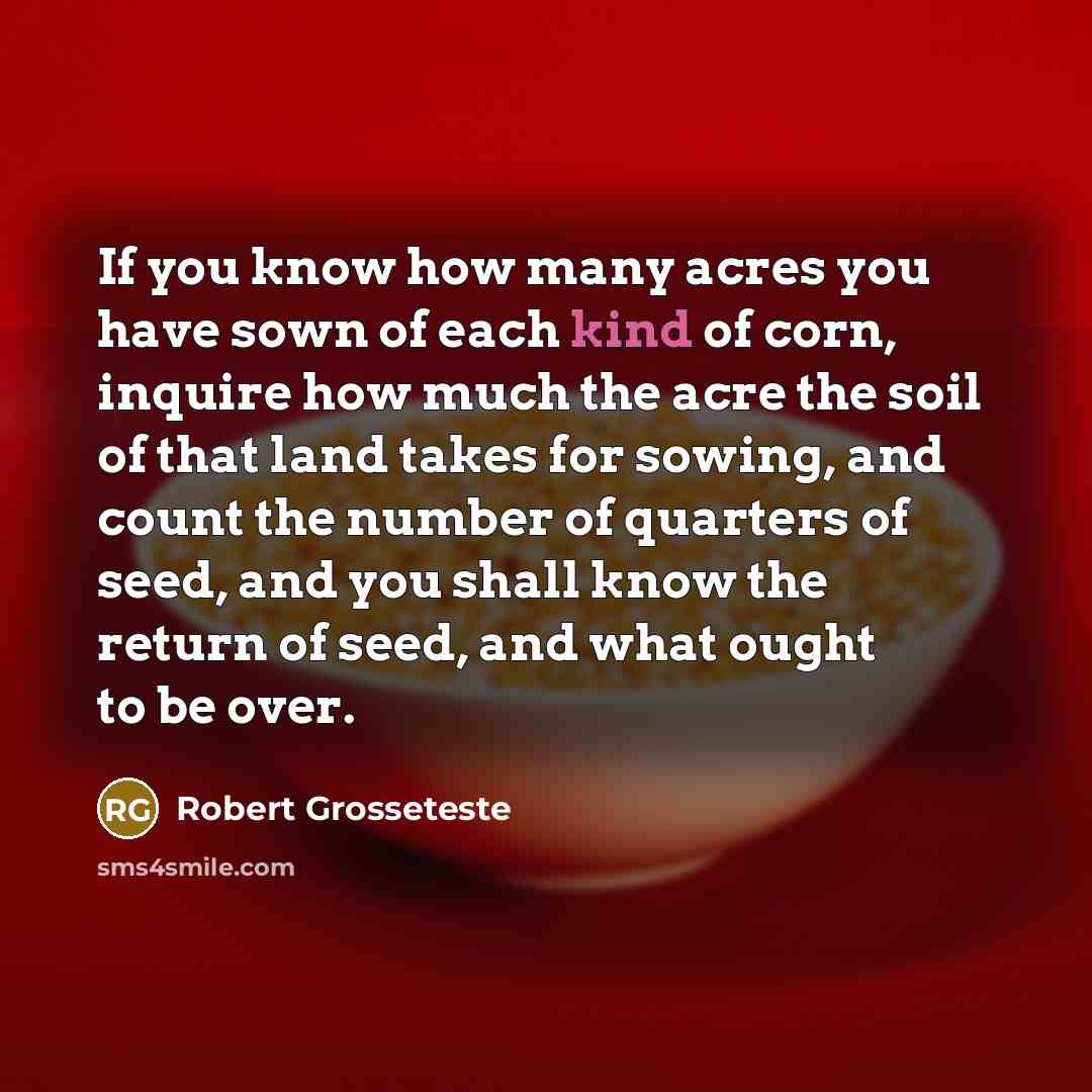 “If you know how many acres you have sown of…” quote by Robert Grosseteste