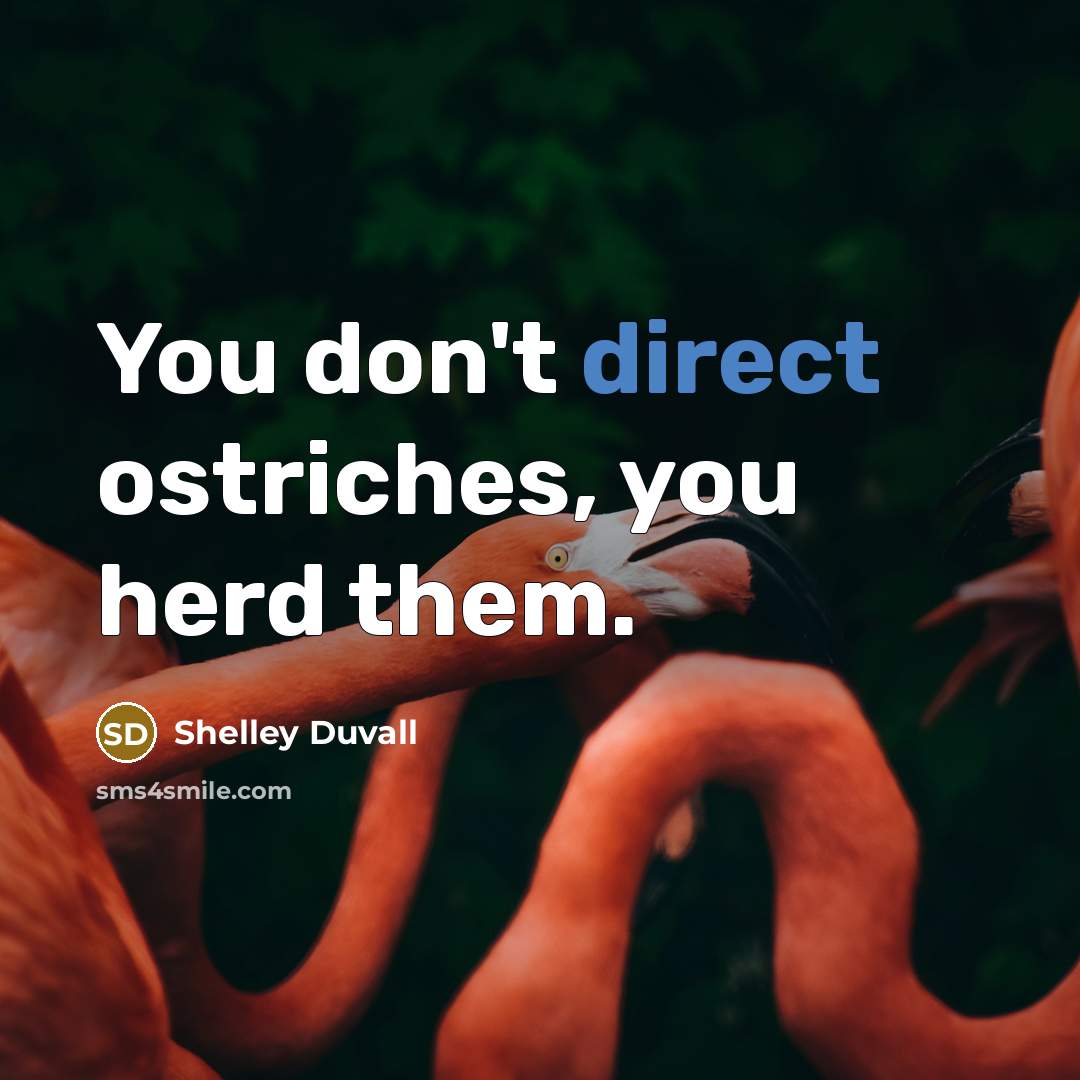 “You don't direct ostriches, you herd them.” quote by Shelley Duvall