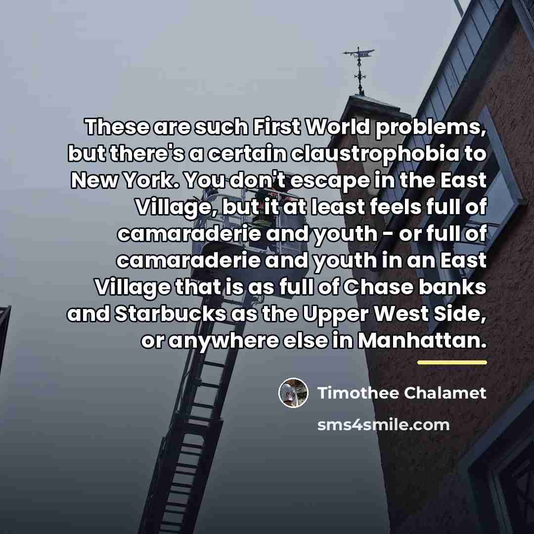 “These are such First World problems, but there's a certain…” quote by Timothee Chalamet