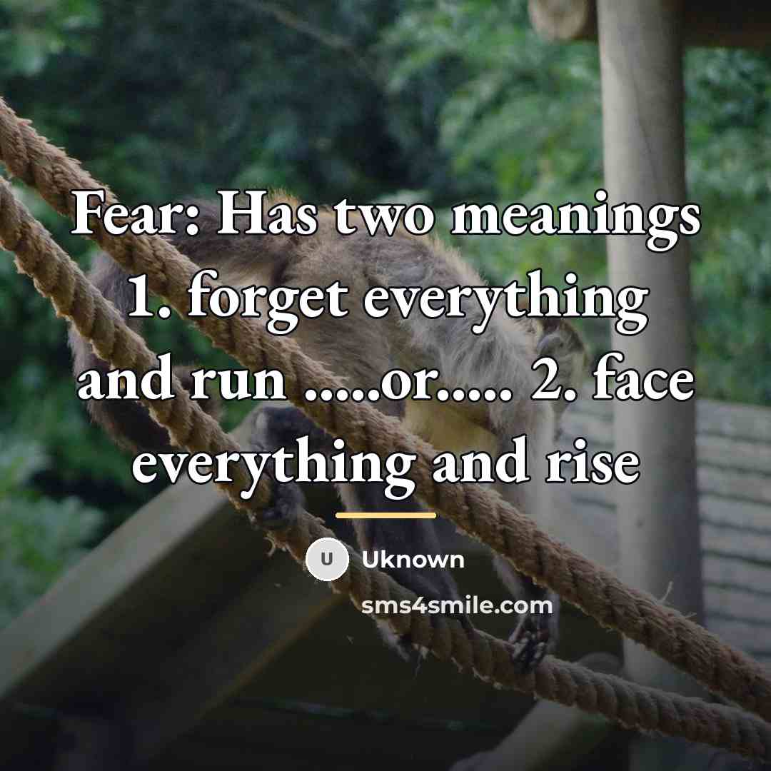 “Fear: Has two meanings 1. forget everything and run .....or.....…” quote by Uknown