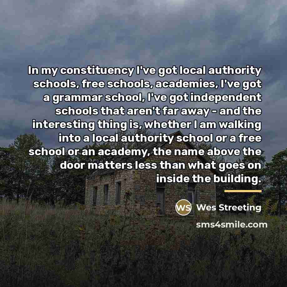“In my constituency I've got local authority schools, free schools,…” quote by Wes Streeting