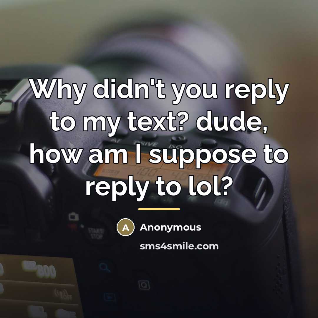 “Why didn't you reply to my text? dude, how am…” quote by Anonymous