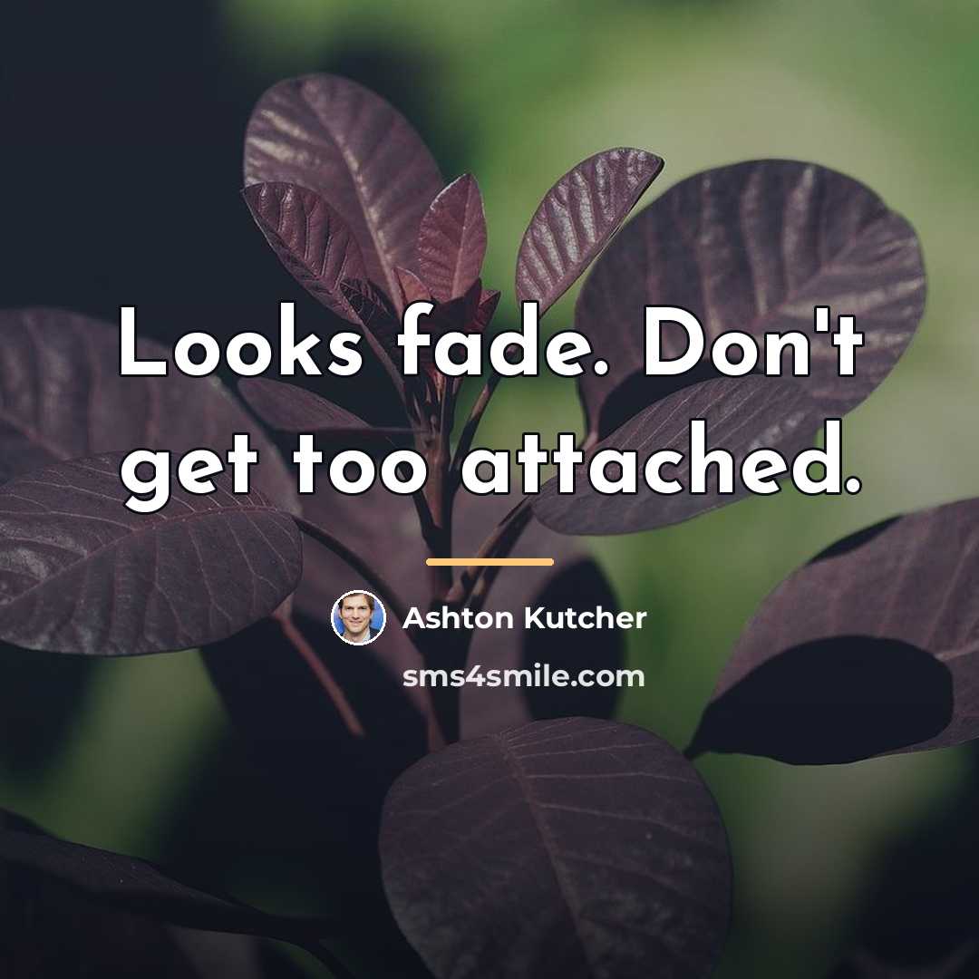 “Looks fade. Don't get too attached.…” quote by Ashton Kutcher