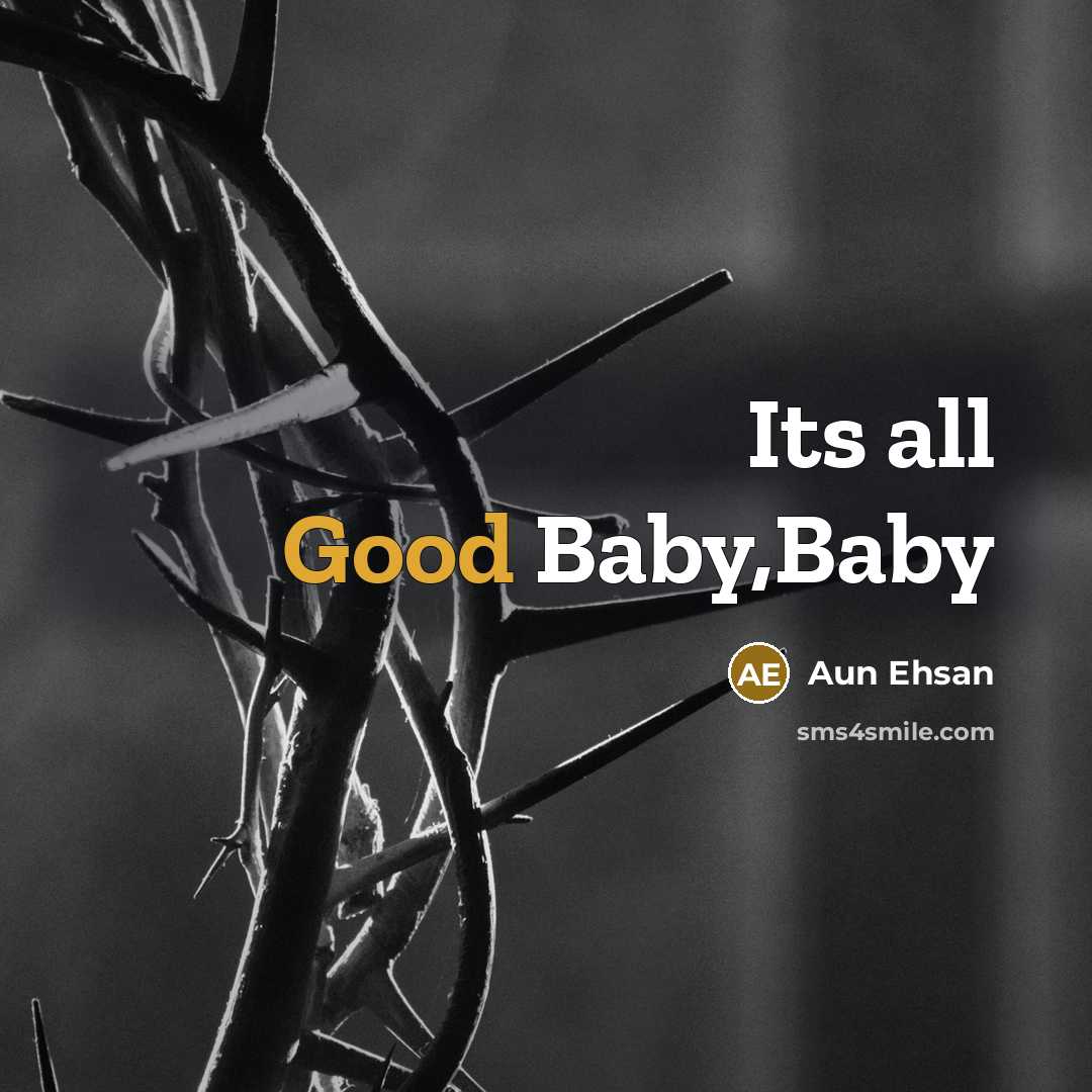 “Its all Good Baby,Baby” quote by Aun Ehsan
