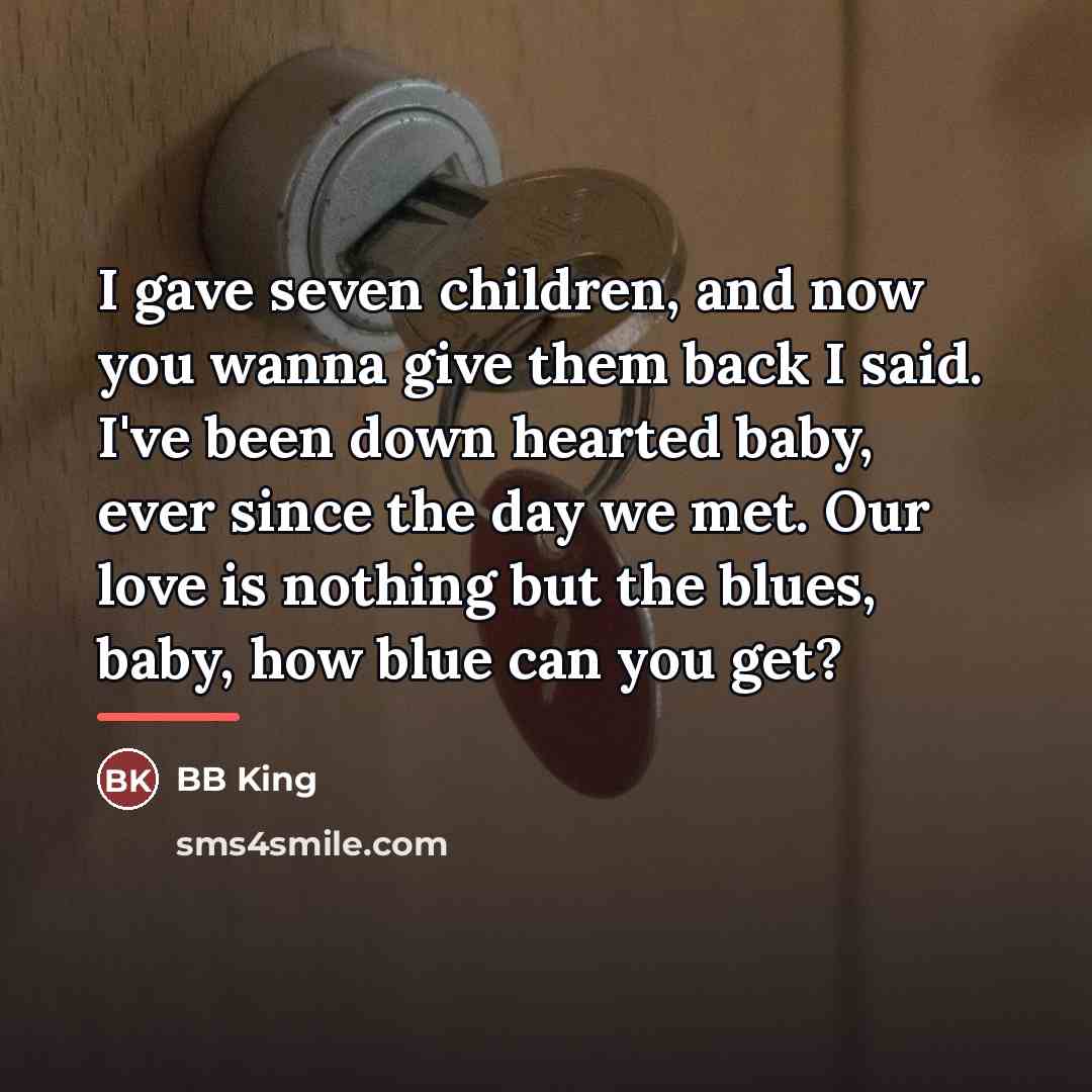 “I gave seven children, and now you wanna give them…” quote by BB King