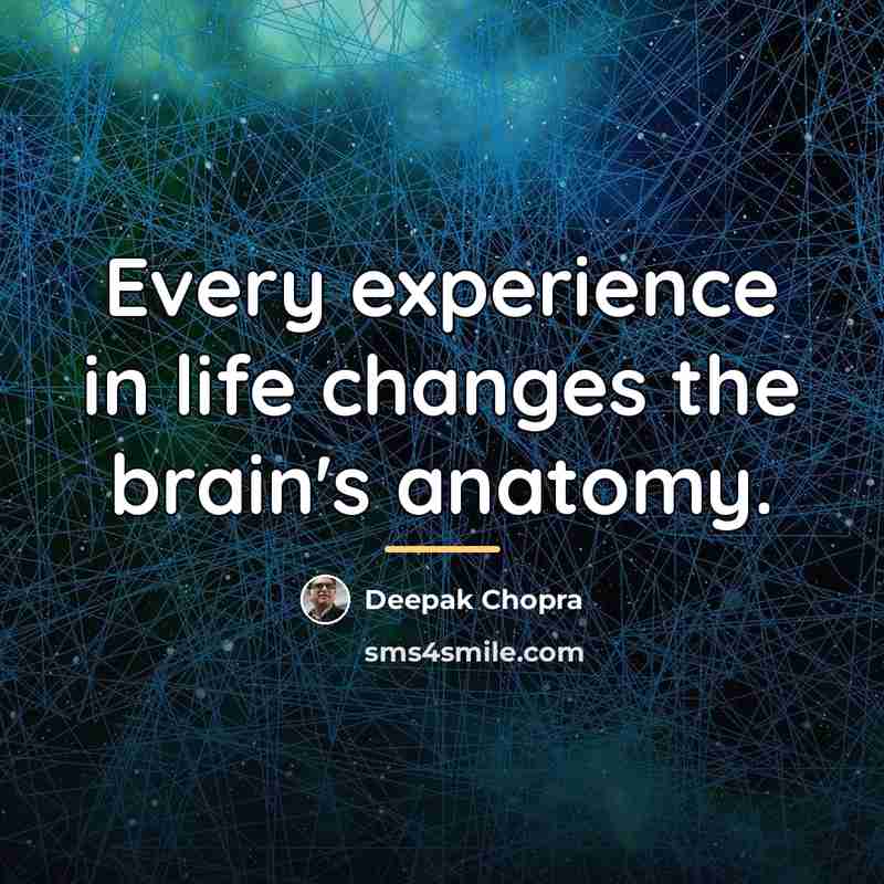 “Every experience in life changes the brain's anatomy.…” quote by Deepak Chopra