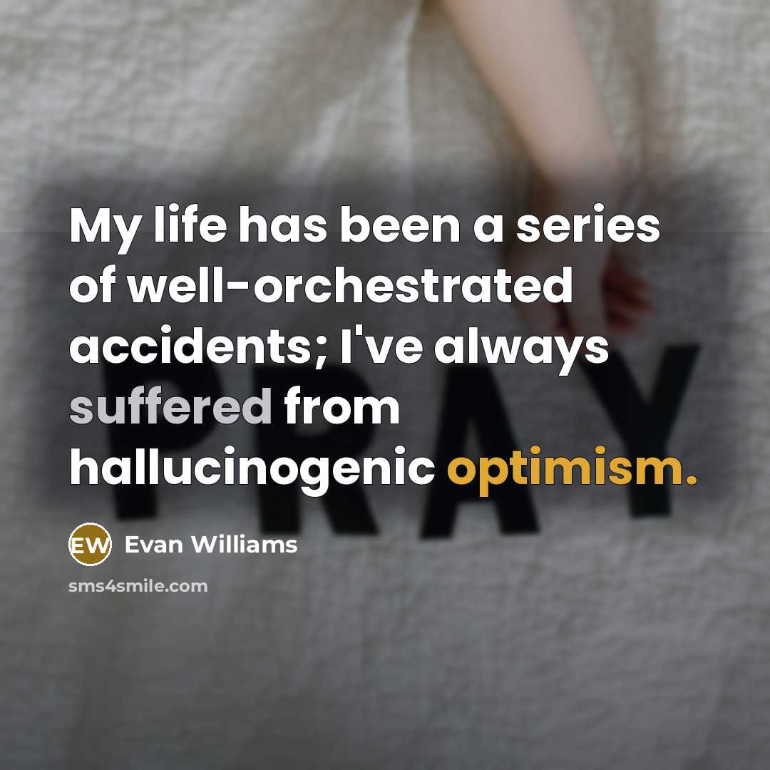 “My life has been a series of well-orchestrated accidents; I've…” quote by Evan Williams