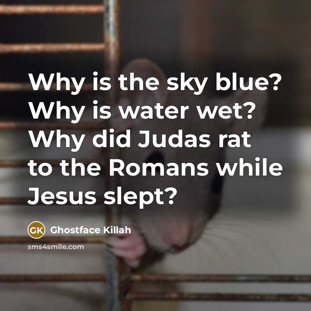 “Why is the sky blue? Why is water wet? Why…” quote by Ghostface Killah