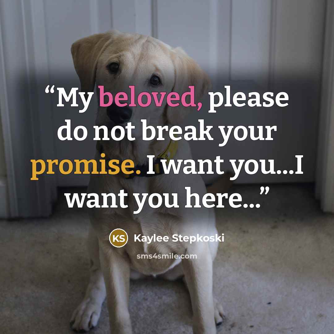 “My beloved, please do not break your promise. I want you...I want you here...” quote by Kaylee Stepkoski