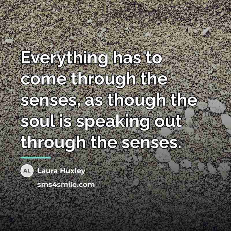 “Everything has to come through the senses, as though the…” quote by Laura Huxley