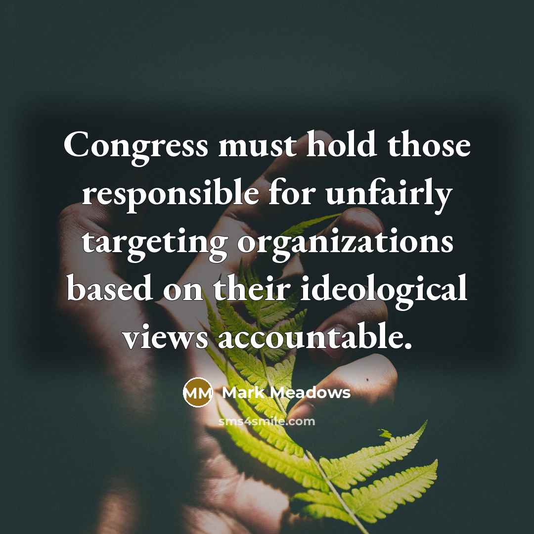 “Congress must hold those responsible for unfairly targeting organizations based…” quote by Mark Meadows